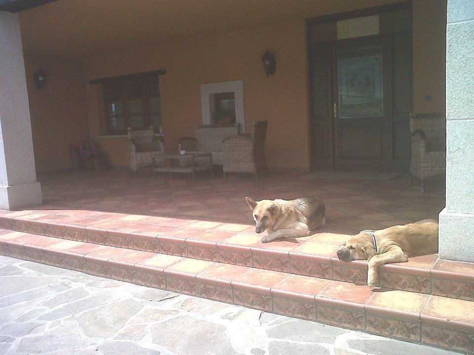 Hotel Rural Yeguada Albeitar Villayón エクステリア 写真