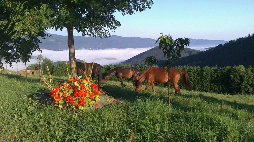 Hotel Rural Yeguada Albeitar Villayón エクステリア 写真