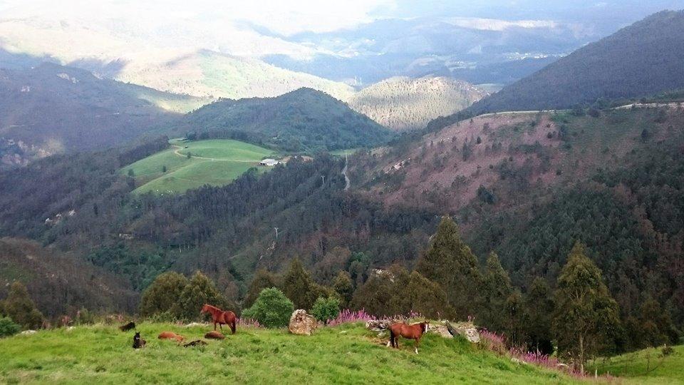 Hotel Rural Yeguada Albeitar Villayón エクステリア 写真